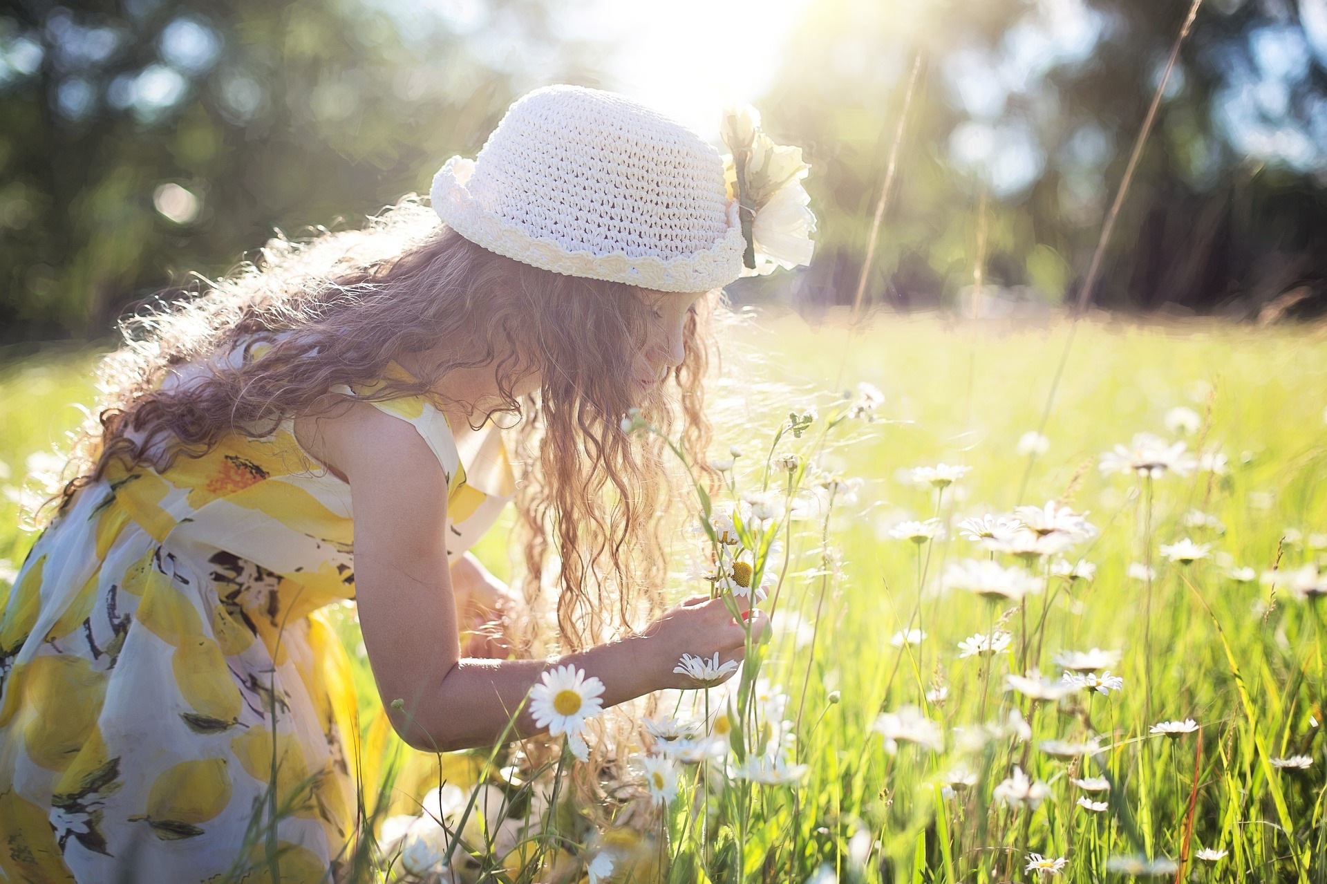 Das Jahr Der Lachenden Blumen © Jill111:pixabay Picking-flowers-2432972 ...